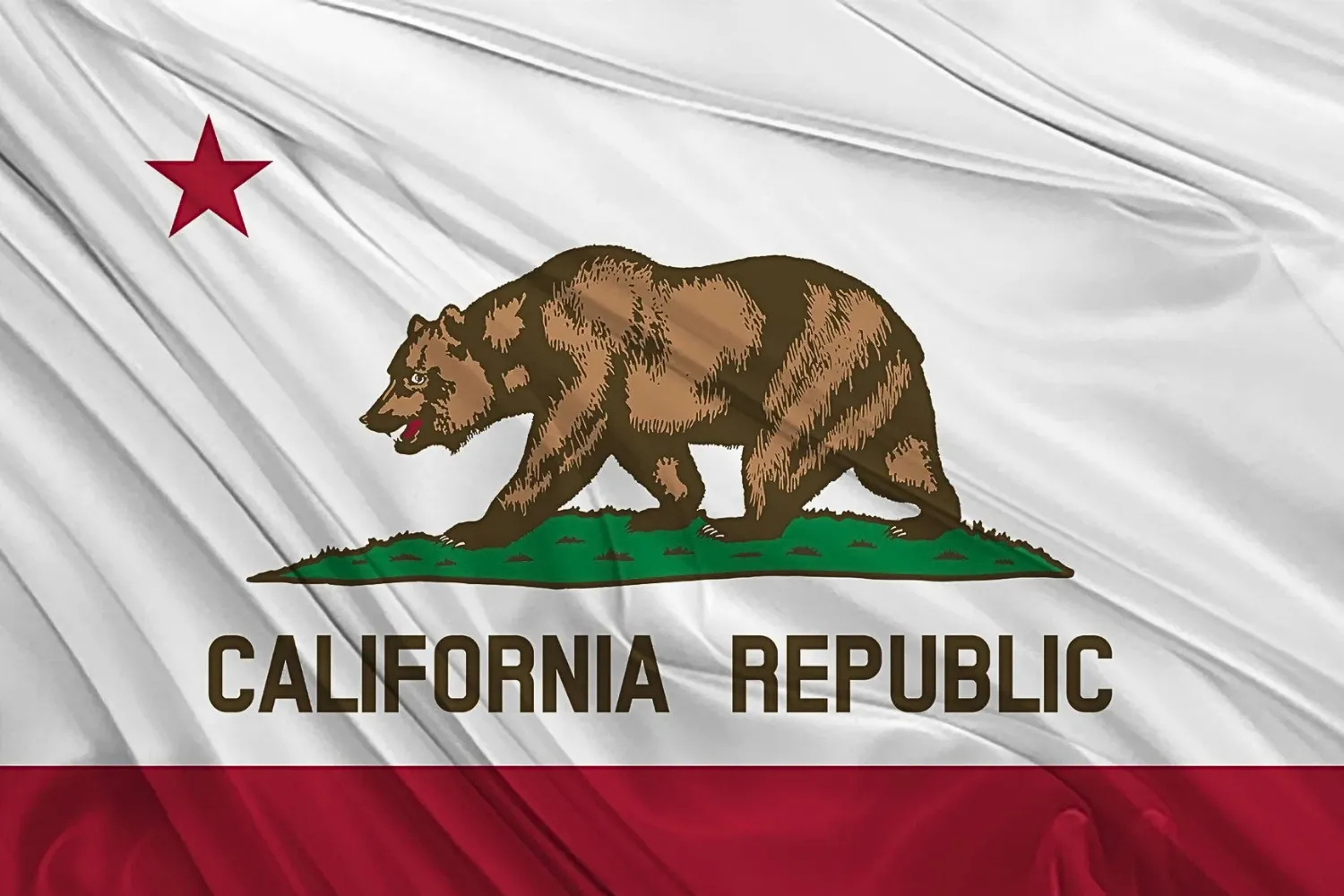 California Flag
