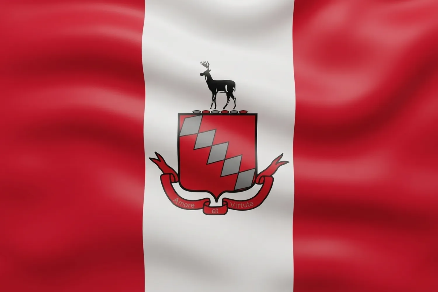 Raleigh Flag