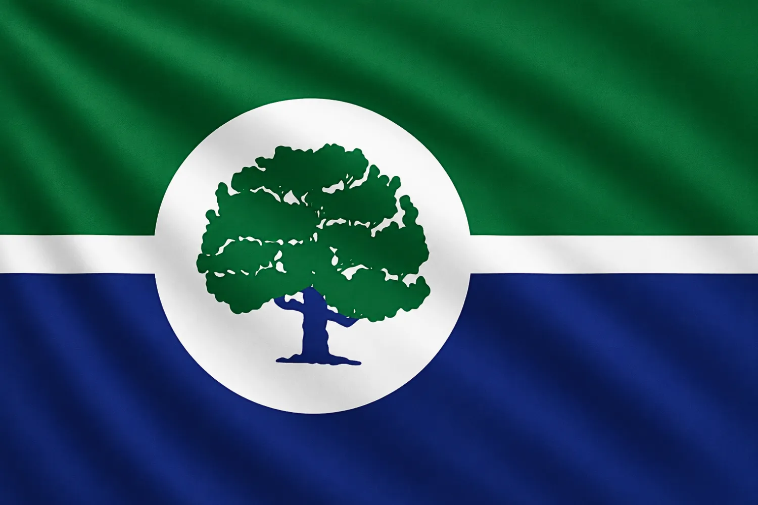 Flag Of Ann Arbo