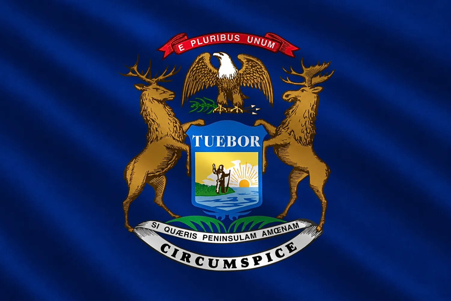 Flag Of Michigan